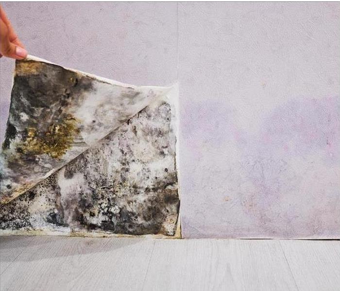 hand pulling back wallpaper to reveal mold