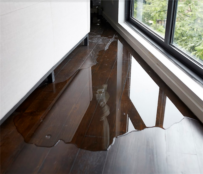 a puddle of water on the hardwood floor of a living room