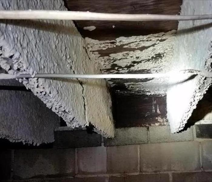 white mold covering crawlspace joists